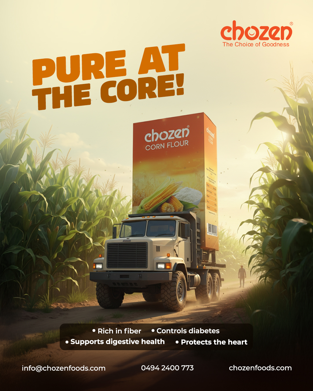Chozen Foods – Brand Creatives